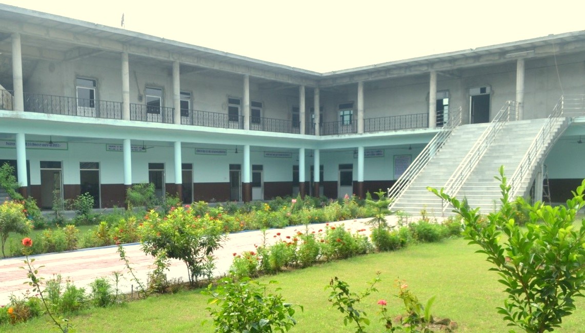 School with Garden Environment